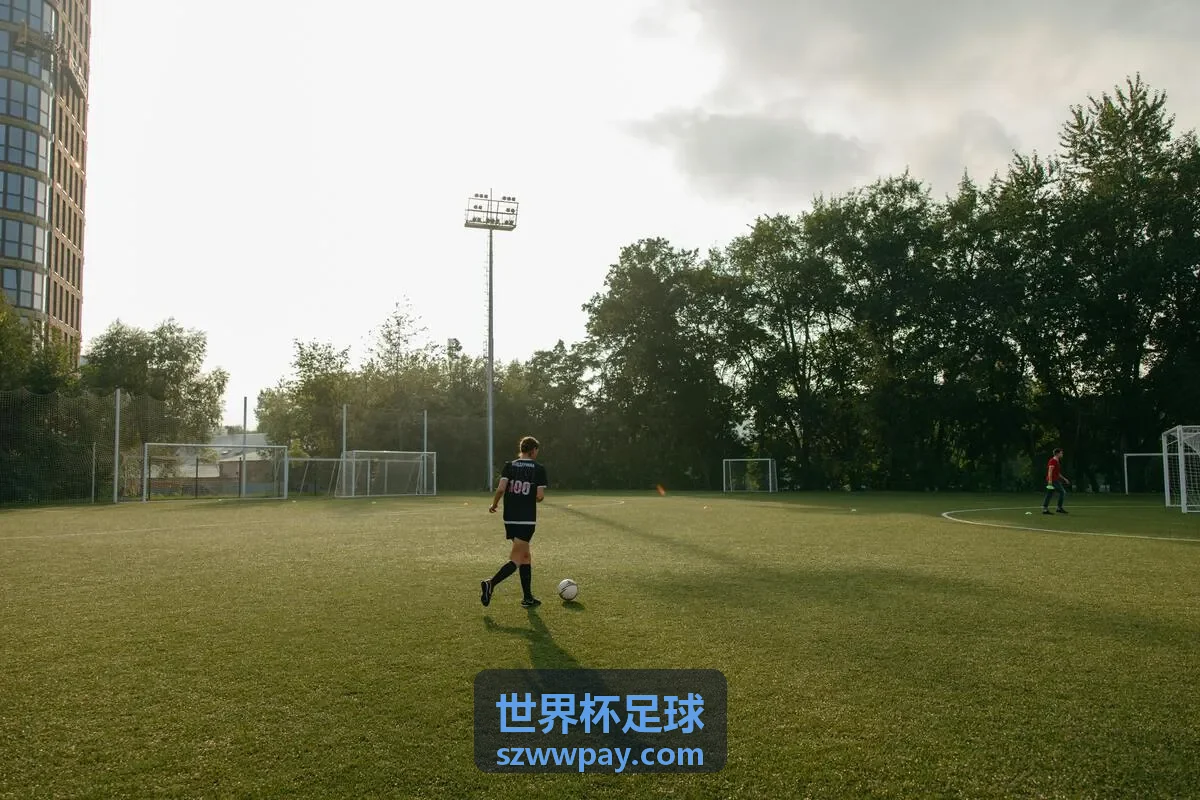 世界杯足球 - 世界杯联赛入口